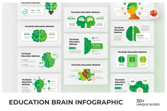 Education Brain Infographic